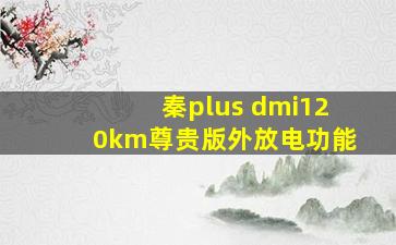 秦plus dmi120km尊贵版外放电功能